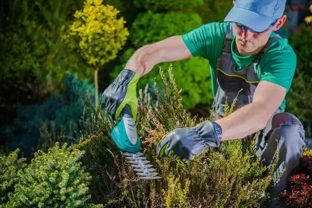 landscaping services Ocean Bluff-Brant Rock
